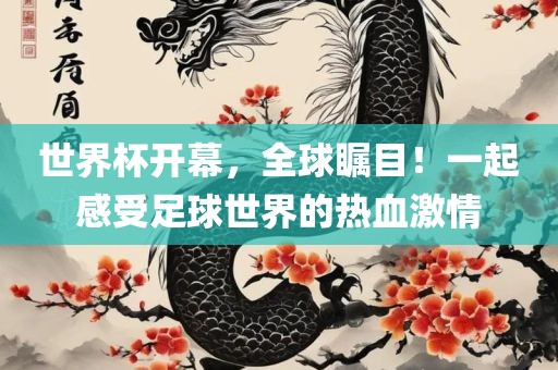 世界杯开幕,全球瞩目!一起感受足球世界的热血激情石家庄宴和餐饮管理有限公司